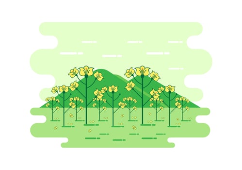 Cartoon Canola Landscape Vector 