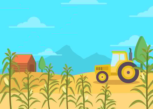 Flat Corn Field Vector Background