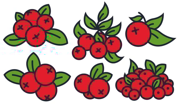 Vector Cranberry Icon Set