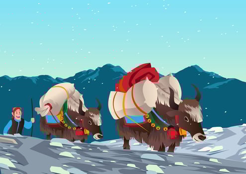 Yaks Carrying Heavy Loads vector