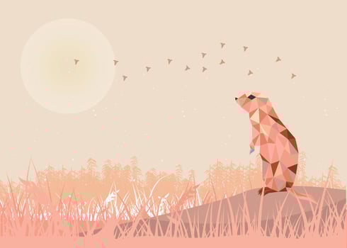 Standing Gopher Low Poly Illustration Vector