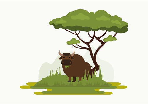 Cartoon Yak vector