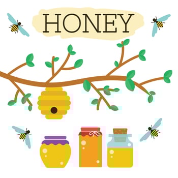Honey Beehive Vector