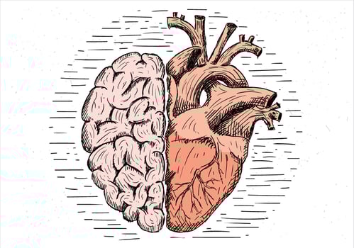 Free Hand Drawn Vector Brain and Heart Illustration