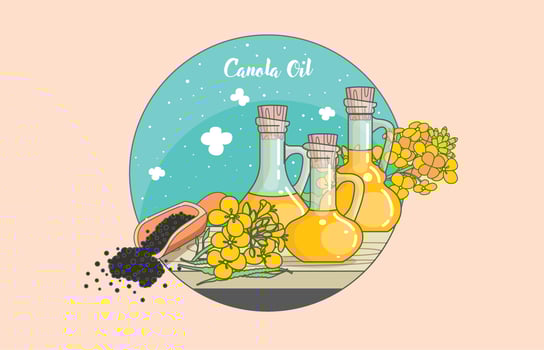 Canola Bottle Vector 