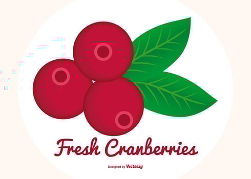 Flat Style Cranberries Illustration vector