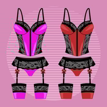 Woman's Lingerie with Garter Vectors 