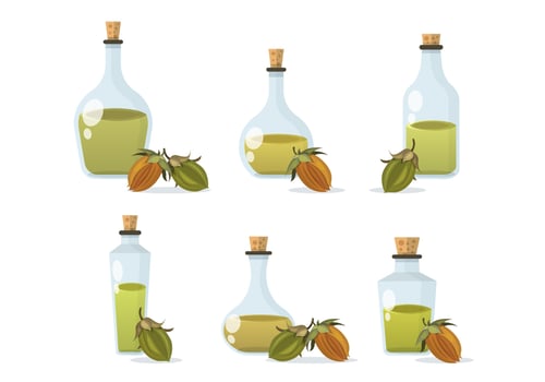 Jojoba Oil Vector Illustration