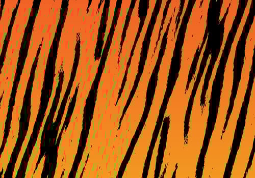 Tiger Stripe Background Vector