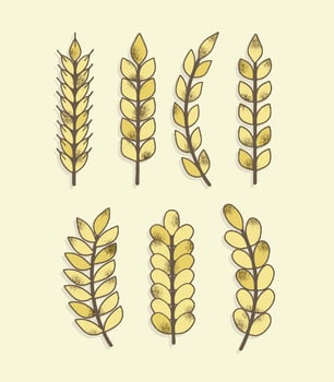 Textured Cereal Vector