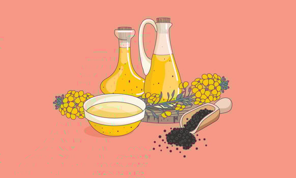 Canola Vector