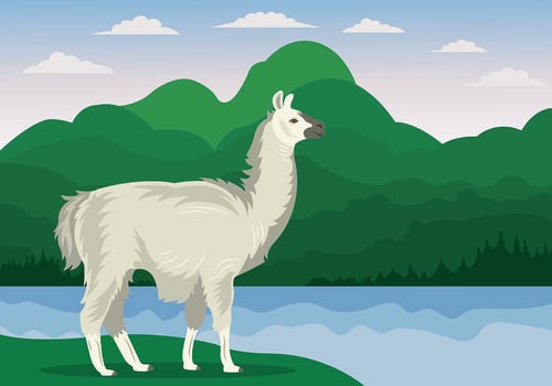 Vector Illustration Of Llama 