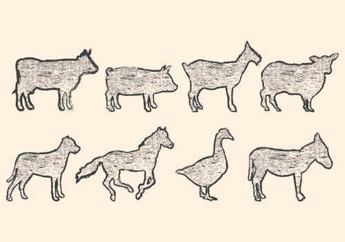Lithograph Of Animal Form vector