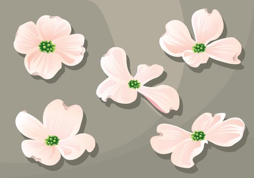 Dogwood Vector Pack
