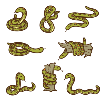 Anaconda Cartoon Vector