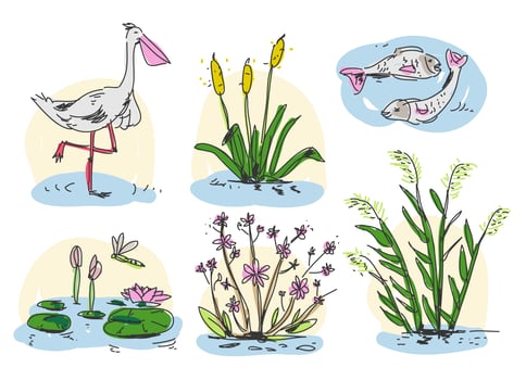 Marsh Hand Drawn Vector Illustration
