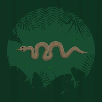 Free Anaconda From Top View Illustration vector