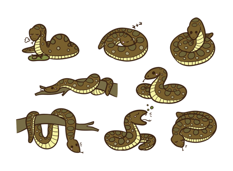 Anaconda Cartoon Vector