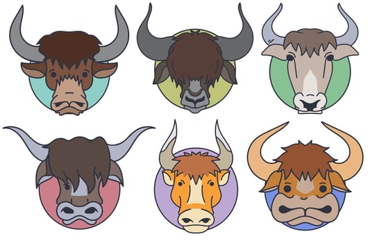 Vector Set Of Yak Head - Cartoon style