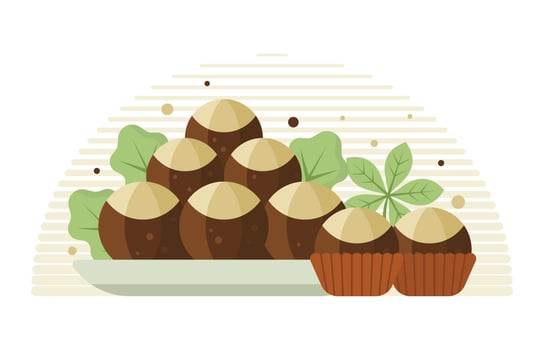 Flat Buckeye Chocolate vector