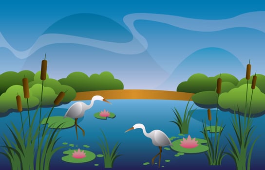 Beautiful Marsh vector