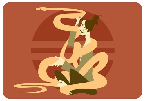 Anaconda And Meditation Man Vector