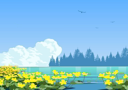 Marsh Marigold vector