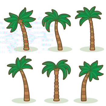 Palm Tree On White Vector