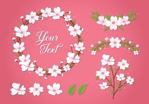 Dogwood Flower Elements Collection vector