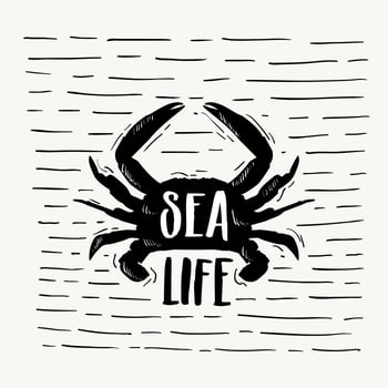 Hand Drawn Vector Typography with Silhouette