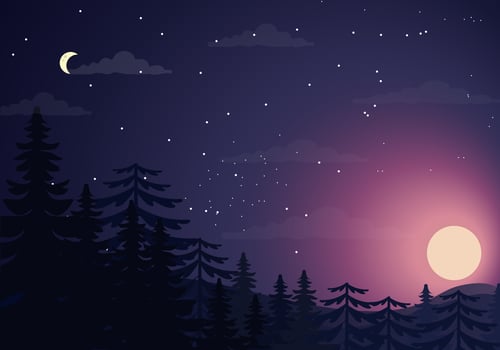 Beautiful Vector Landscape Illustration