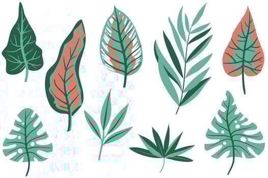 Free Tropical Leaves Vectors 