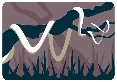 White Anaconda Vector