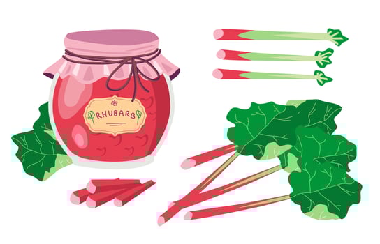 Rhubarb Flat Vector Illustration
