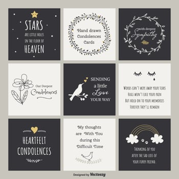 Cute Hand Drawn Condolences Vector Cards