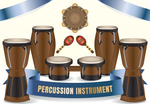 African Ethnic Conga Bongos Salsa Drums vector