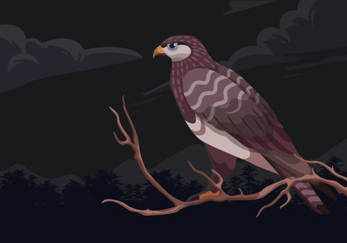 Buzzard Bird Sitting at a Branch Vector Illustration