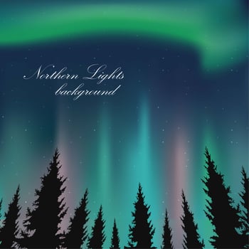Northern Lights Landscape Illustration vector