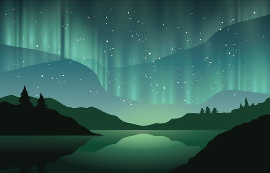 Beautiful Northern Lights vector