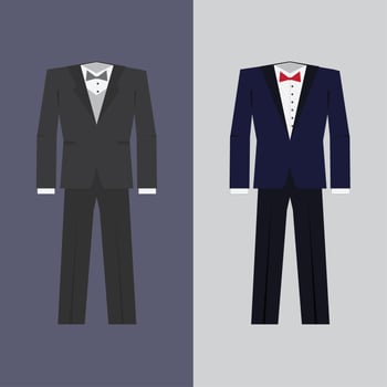 Tuxedo in two colors vector