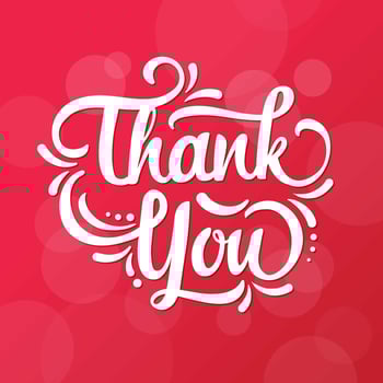 Romantic Thank You Lettering Typography vector