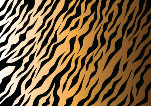 Tiger Stripes vector