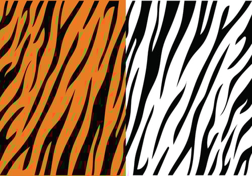Tiger Stripe Pattern vector