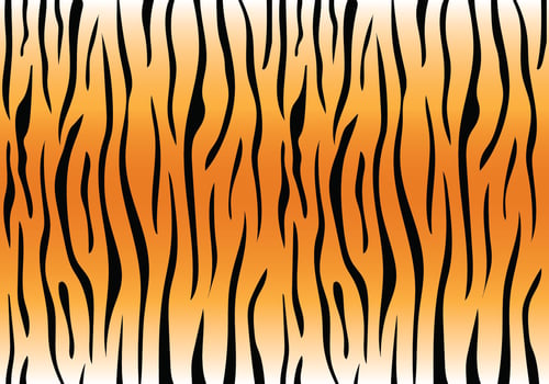 Tiger Stripe Pattern vector