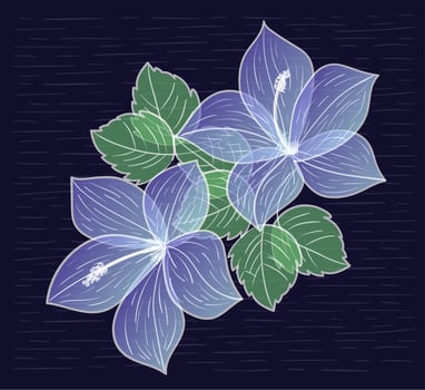 Vector Hand Drawn Flower Illustration