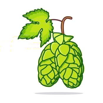 Flat Hop Plant Illustration vector