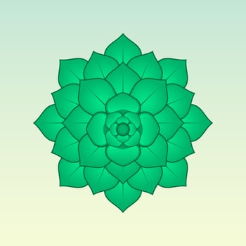 Green Succulent Plant Illustration vector