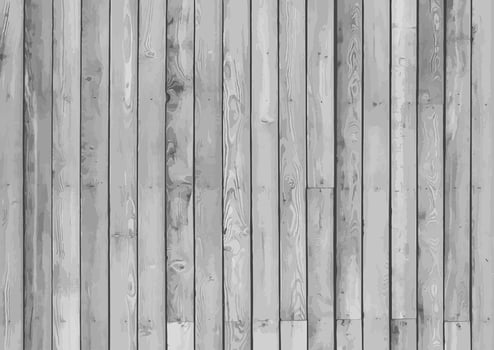 White wood texture  vector