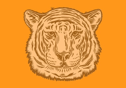 tiger head portrait vector