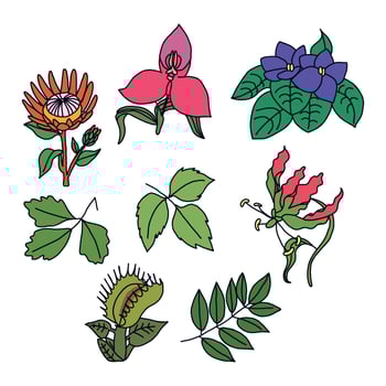 Colorful Toxic Flowers vector